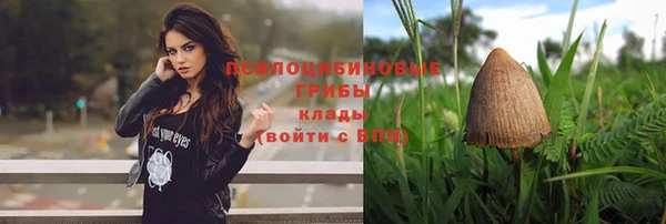 ПСИЛОЦИБИНОВЫЕ ГРИБЫ Алексеевка