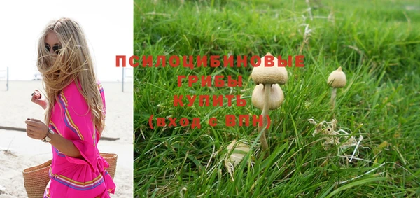 скорость Новозыбков