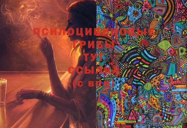 ПСИЛОЦИБИНОВЫЕ ГРИБЫ Алексеевка