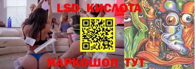 индика Нальчик