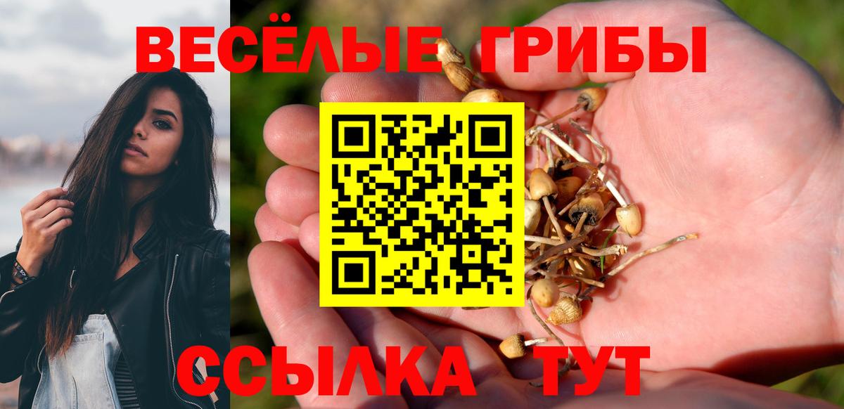 купить закладку  Псилоцибиновые грибы мухоморы  Псилоцибиновые грибы Psilocybine cubensis  Вход с VPN  Советская Гавань 